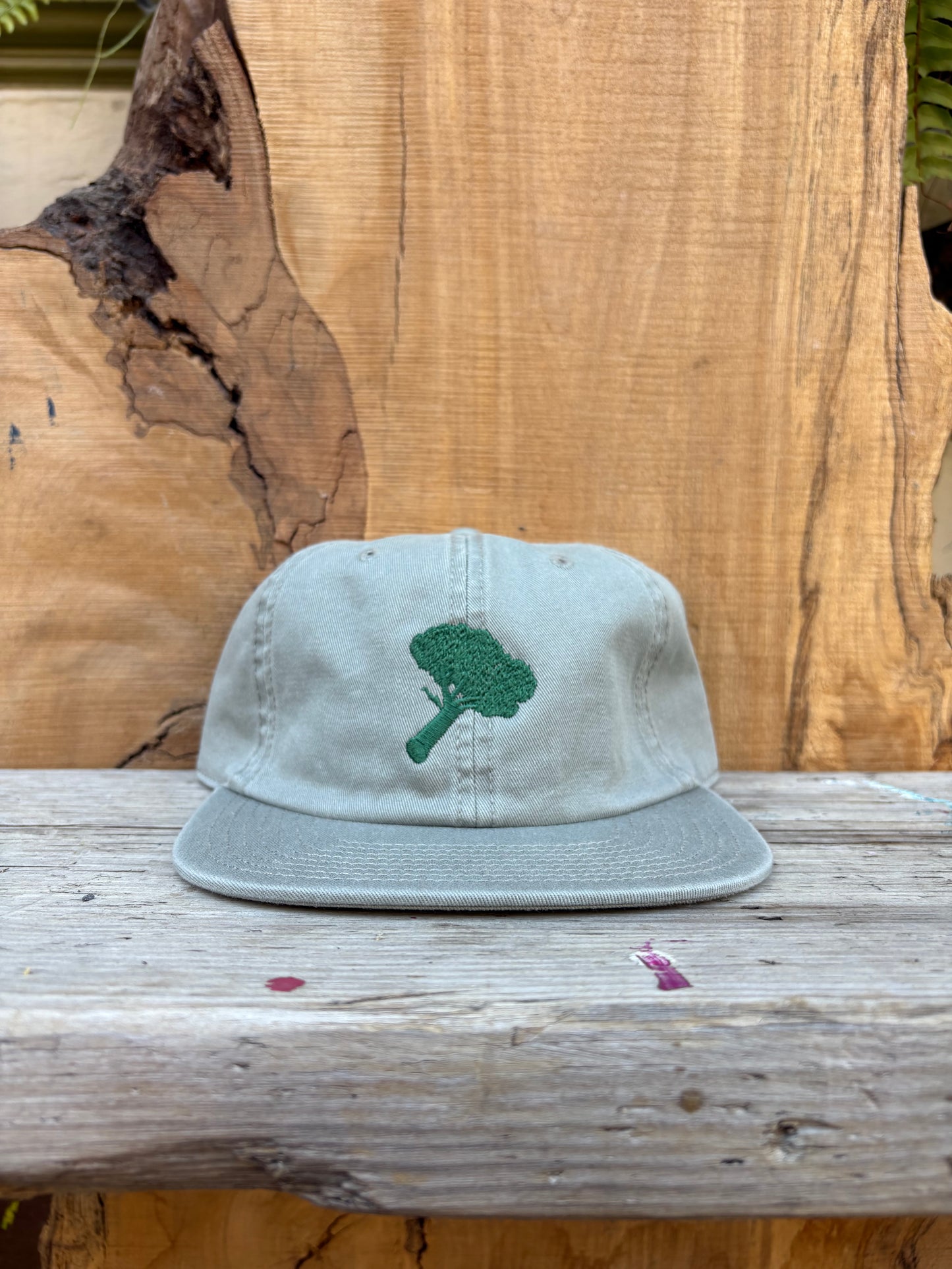 “Is that broccoli?” Cap